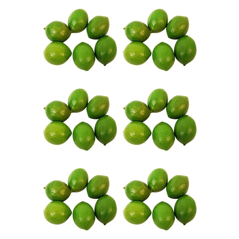 X Nutrition - 36 X Realistic Lifelike Artificial Plastic