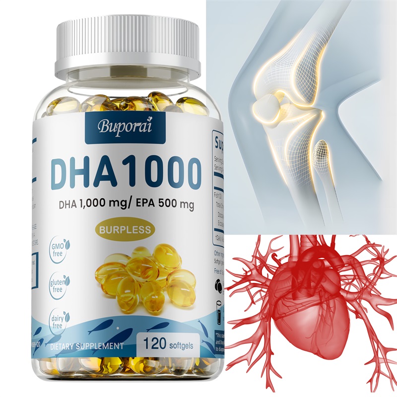 Omega 3 Fish Oil DHA Supplemen - Omega 3 Fish Oil 리뷰 및 가격