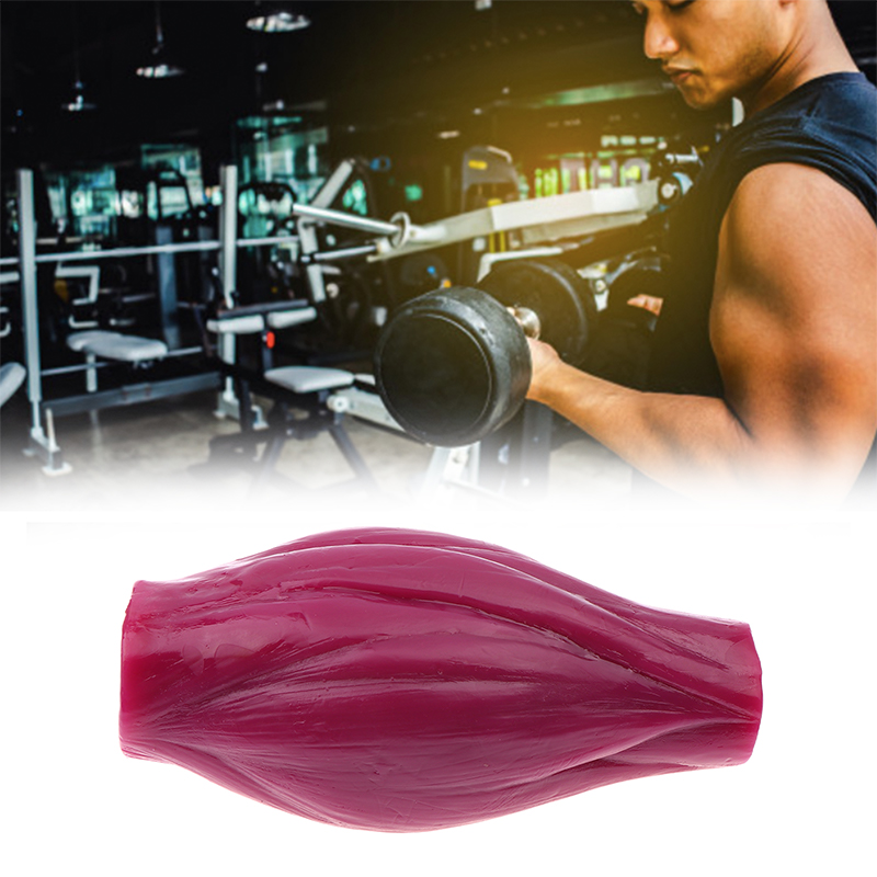 1lb Muscle to Keep Fit & Weigh - Nutrition For Fitness Course 리뷰 및 가격