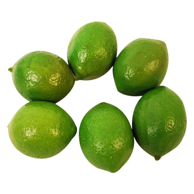 36 X Realistic Lifelike Artifi - X Nutrition 리뷰 및 가격